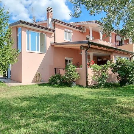 Apartamento Stelia Novigrad Istria Exterior foto